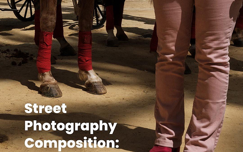 摄影教程-摄影师Polly Rusyn街头摄影构图:用科学改变你的摄影-中英字幕